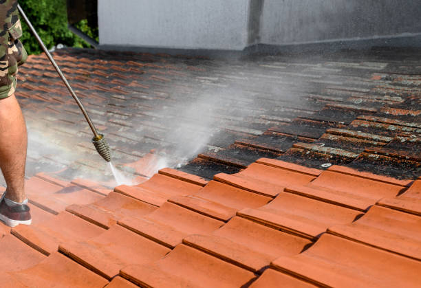 Best Roof Power Washing Services  in Brisbane, CA